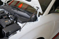 Hood Strut Kit
