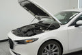 QuickLIFT ELITE Hood Lift System