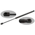 Rear Tailgate Support Strut