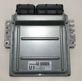 Engine Control Module (ECU)
