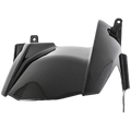 REAR MUDGUARD Carbon Fiber
