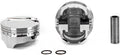 1 SET IC877.STD/1 SET 4000BD8.005
