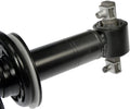 LOADED STRUT ASSEM