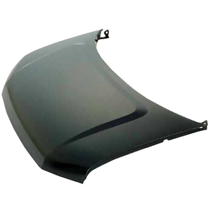 CAPA HOOD EXPRESS/SAVANA 2500/3500 03C