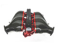 ALPHA GT-R Carbon Fiber /