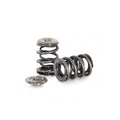 Kelford Dual Spring and Ti Retainer SUBARU FA20F WRX 2015
