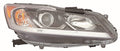 HD ACORD SDN 1617 HL ASY HALOGEN W/O LED DRL LX MDL RH