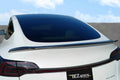 1623 TESLA 3 BIG CARBON FIBER SPOILER GLOSSY BLACK