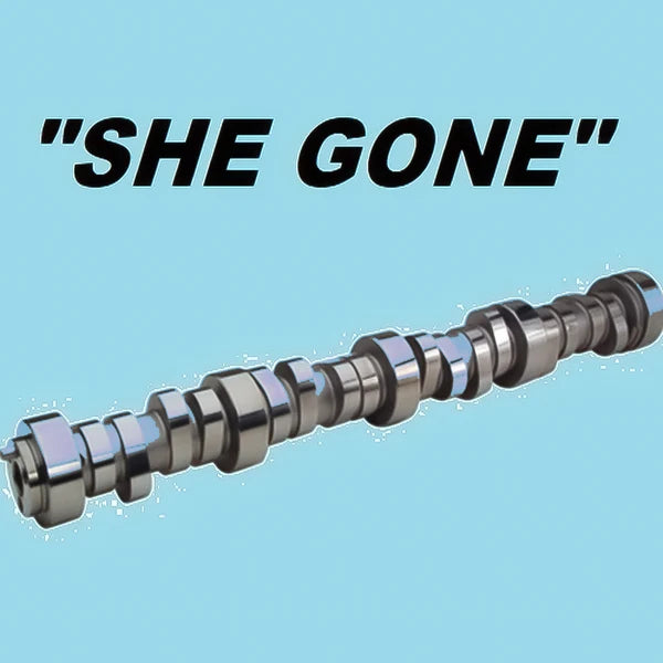 Custom Camshaft 233/248 .629/.615 Lift 116+XX LSA