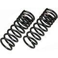 Down Suspension Springs