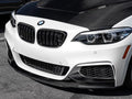 Performance Style Carbon Fiber Front Lip