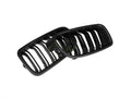 Double Slat Carbon Fiber Grilles