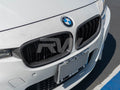 Double Slat Carbon Fiber Grilles