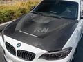 GTS Style Carbon Fiber Hood
