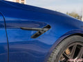 Carbon Fiber Fender Trims