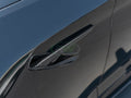 Carbon Fiber Fender Trims