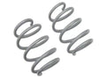 Tactical Performance Lowering Springs