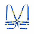 Enduro Silver 6-Point Racing Harness