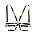 Enduro Silver 6-Point Racing Harness