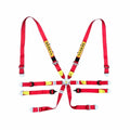 Enduro Silver 6-Point Racing Harness