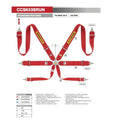 4-Point Racing Harness
