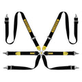 Enduro Silver 6-Point Racing Harness