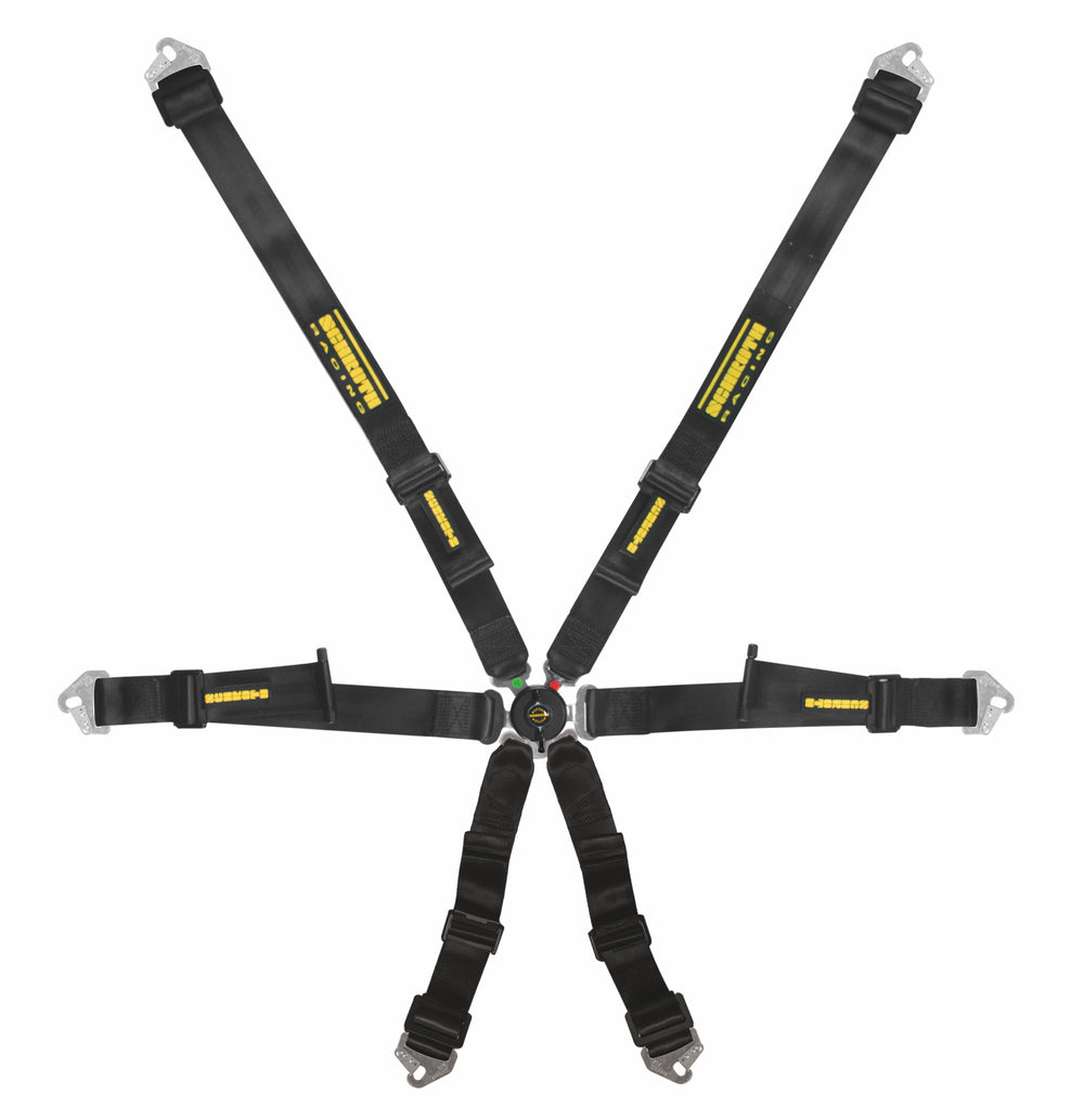 Profi 2x2 6-Point Racing Harness