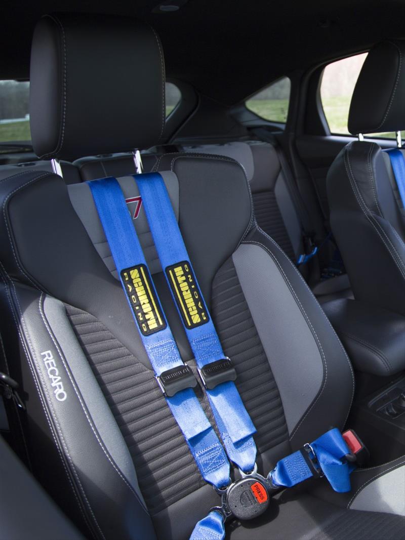 QuickFit Pro 4-Point Removable Harness