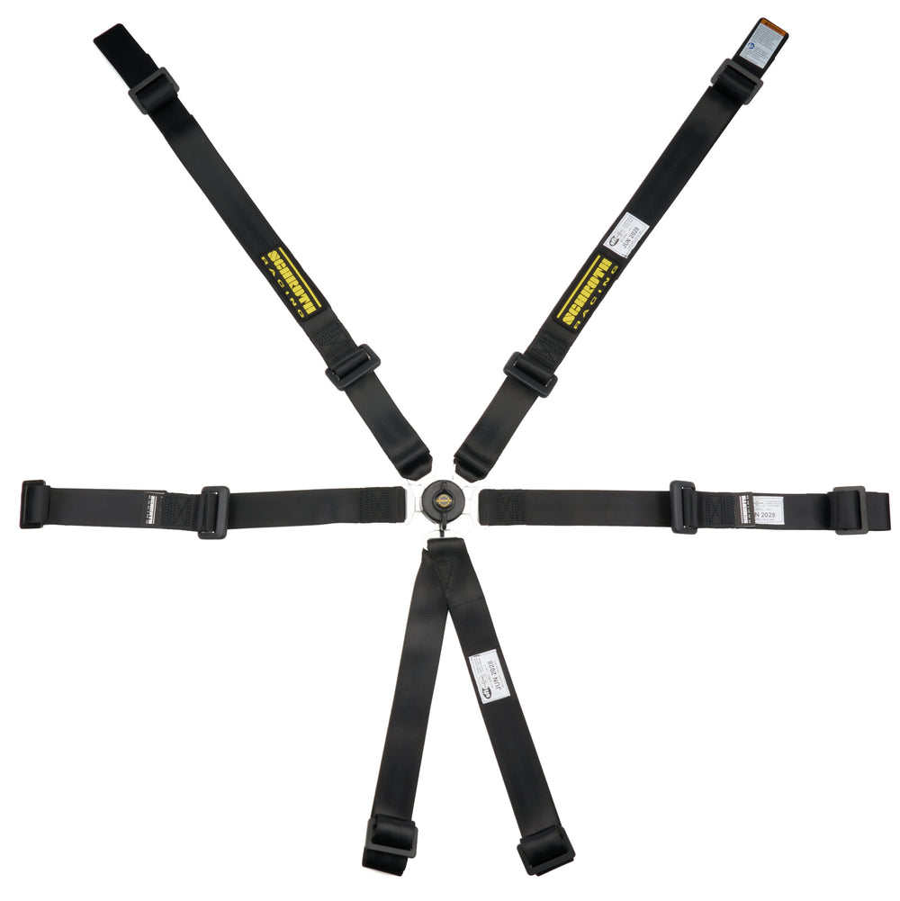 Profi 2x2 6-Point Harness