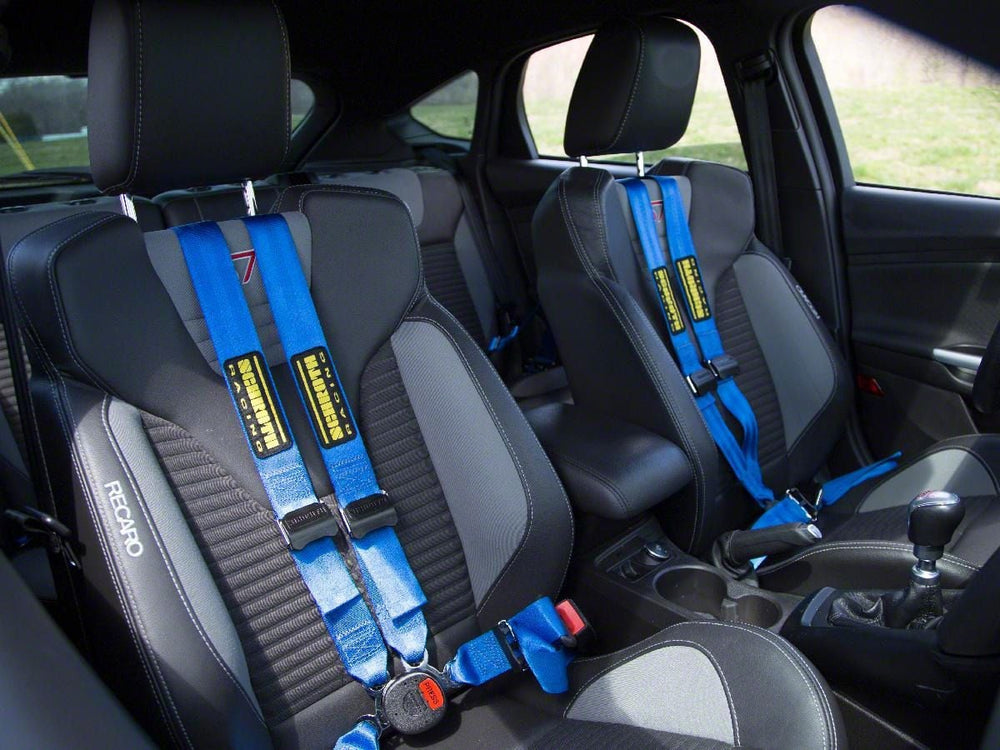 4-Point Harness
