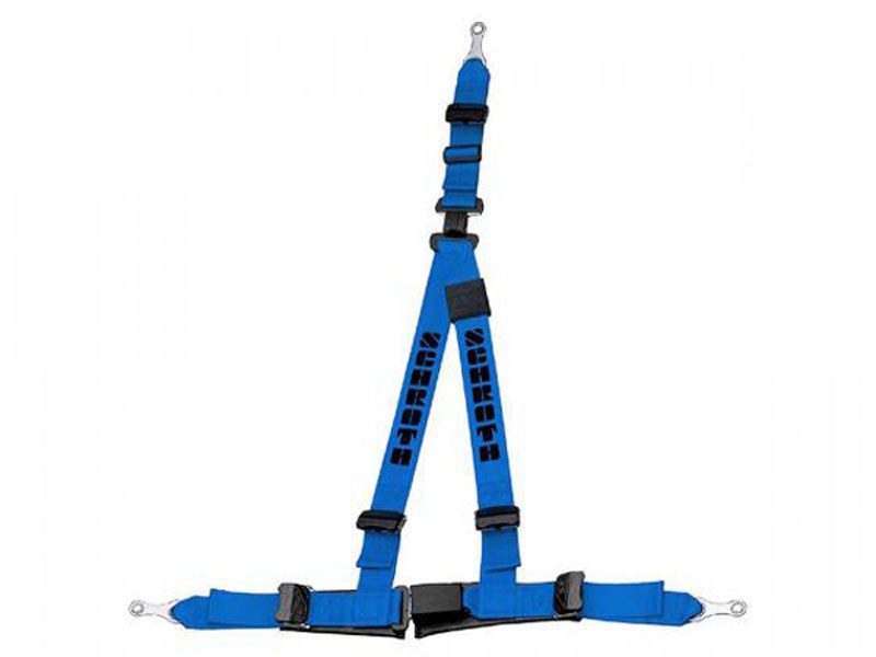 Rallye 3 asm 3-Point Static Harness Belt