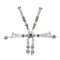 Flexi 2x2 6-Point Racing Harness