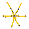 Flexi 2x2 6-Point Racing Harness