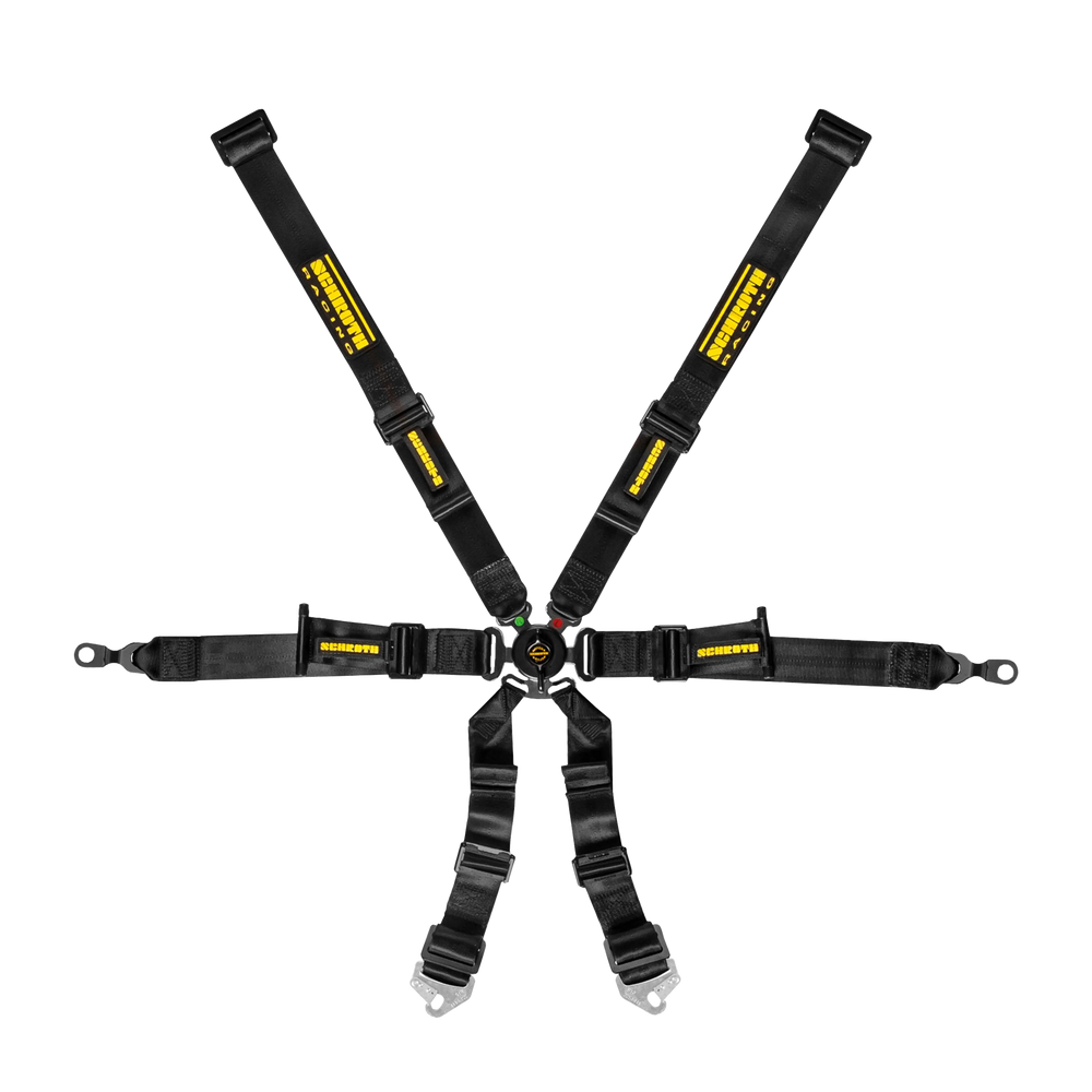 Profi 2x2 6-Point Racing Harness