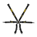 Profi 2x2 6-Point Racing Harness