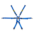 Profi 2x2 6-Point Racing Harness