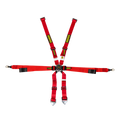 Profi 2x2 6-Point Racing Harness