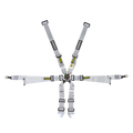 Profi 2x2 6-Point Racing Harness