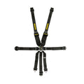 Profi II 6-Point Racing Harness