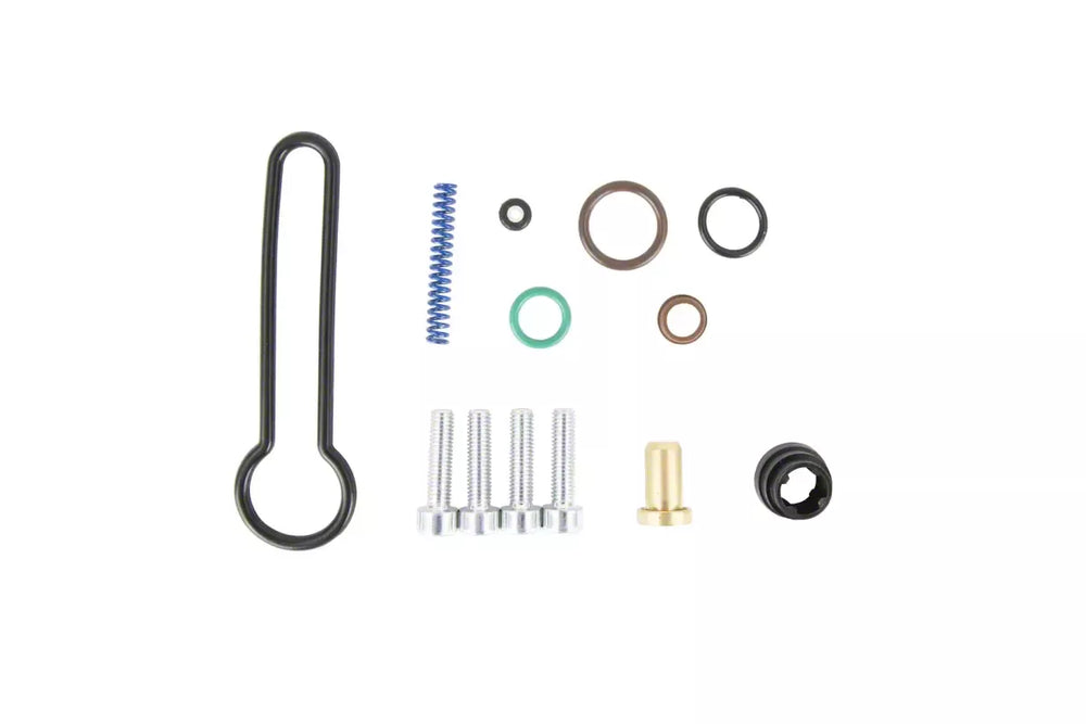 Fuel Filter Cap and Spring Kit