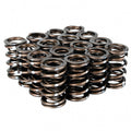 Pro Series XP Racing Dual Valve Spring Kit
