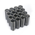 Pro Series XP Racing Dual Valve Spring Kit