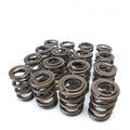 Pro Series XP Racing Dual Valve Spring Kit