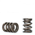 Alpha Valve Spring Set