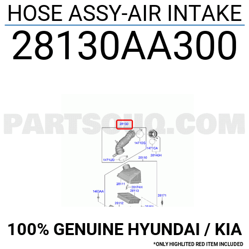 Air Intake Hose Assembly
