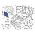 Hood Scoop Assembly