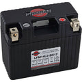 Lithium Powersports Battery
