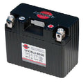 6V Lithium Iron Phosphate Battery