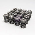Alpha Valve Spring and Titanium Retainer Kit