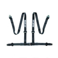 2-Inch 4-Point Bolt-In Harness